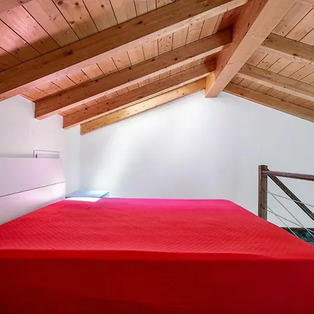 Suits By Halldis Cremia