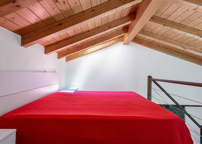 Suits By Halldis Cremia